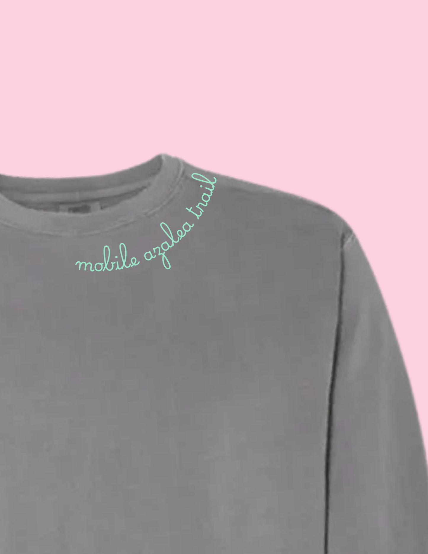 Embroidered Sweatshirt