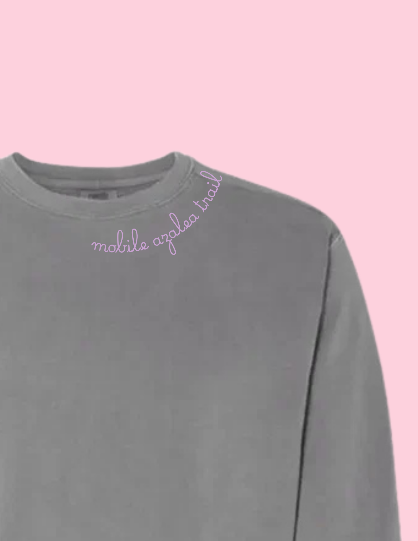Embroidered Sweatshirt