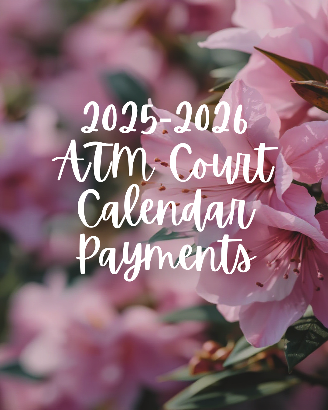 2025-2026 Court - Calendar Payments