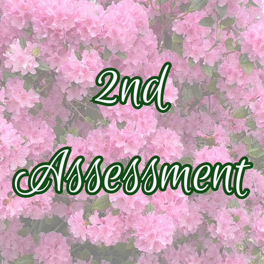 2nd Assessment